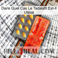 Dans Quel Cas Le Tadalafil Est-Il Utilisé new01